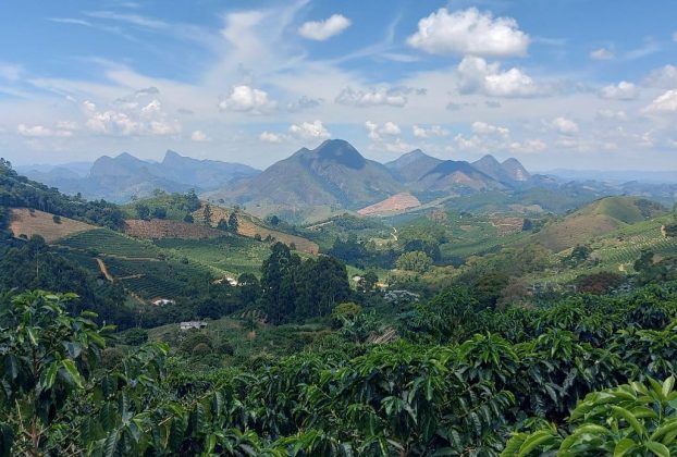 Espírito Santo ganha rota especial que valoriza a cultura cafeeira do Caparaó